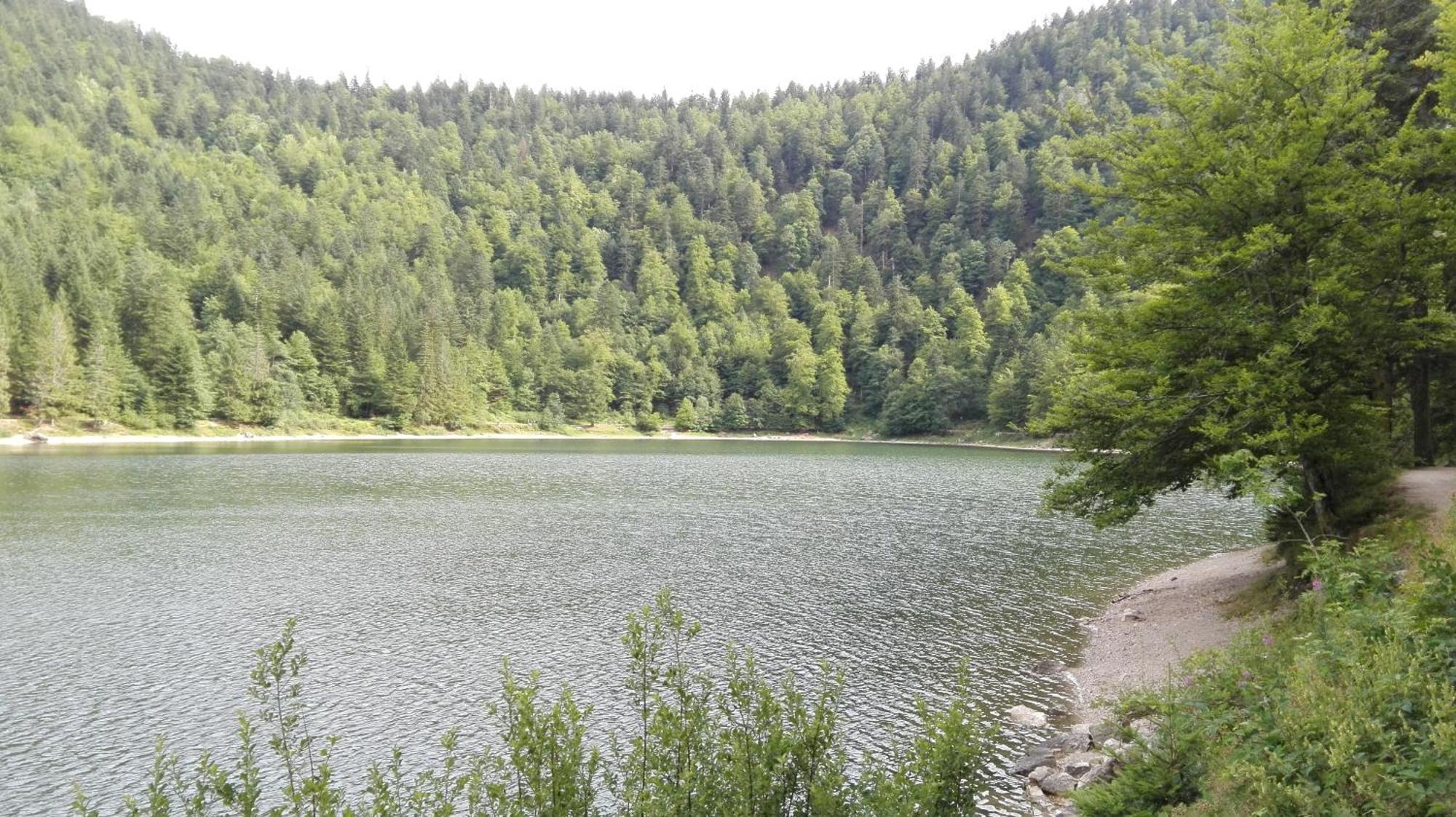 La Bressaude - Vacances-En-Vosges - Menage Compris La Bresse Exterior foto